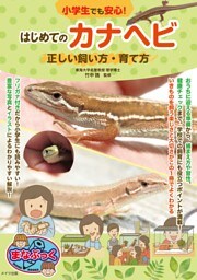 小学生でも安心！はじめてのカナヘビ 正しい飼い方・育て方