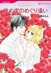 嵐の夜のめぐり逢い【分冊】 9巻