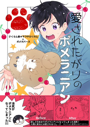 愛されたがりのポメラニアン