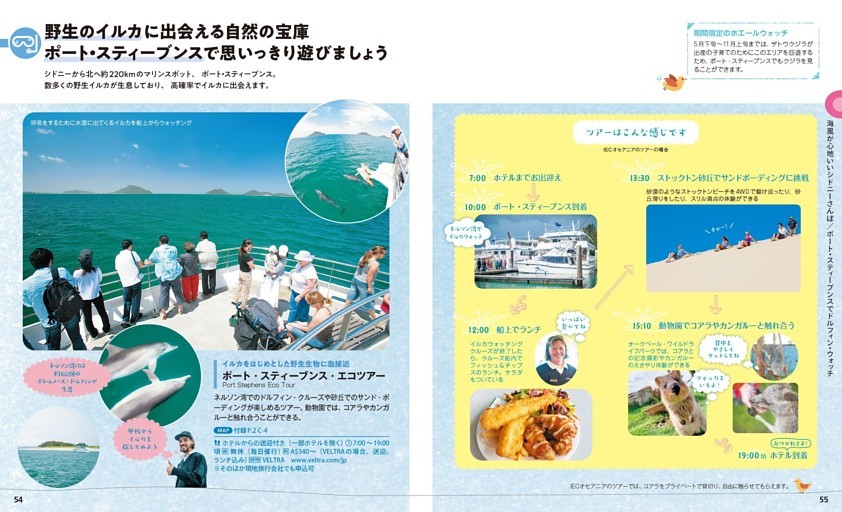 ポート・スティーブンスでドルフィン・ウォッチ