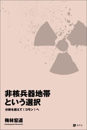 非核兵器地帯という選択: 分断を超えて〈コモン〉へ