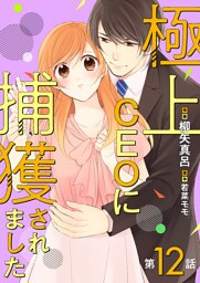 極上CEOに捕獲されました【分冊版】12話