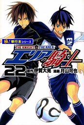 エリアの騎士【極！単行本シリーズ】22巻