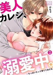 美人カレシ、溺愛中。～ちっぱいだって育ててあげる(2)