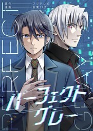 パーフェクトグレー 2