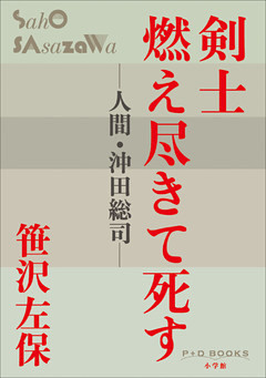 P+D BOOKS　剣士燃え尽きて死す