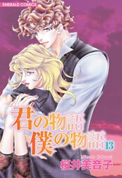 君の物語　僕の物語　１３