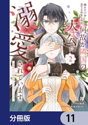 姉に悪評を立てられましたが、何故か隣国の大公に溺愛されています【分冊版】　11