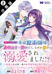 姉のことが好きな筆頭魔術師様に身代わりで嫁いだら、なぜか私が溺愛されました！？ ～無能令嬢は国一番の結界魔術師に開花する～（コミック） 分冊版 2