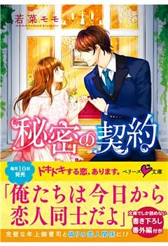 秘密の契約【ベリーズ文庫版】