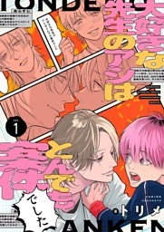 大好きな先生のアシはとんでも案件でした【描き下ろしおまけ付き特装版】