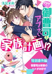 御曹司は新妻の××がお好き～ワケあり御曹司とアブナい家族計画！？～特別番外編～