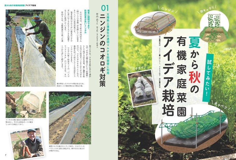 試してみたい！夏から秋の有機家庭菜園 アイデア栽培