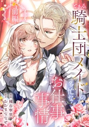 とある騎士団メイドの多忙なお仕事事情　前編