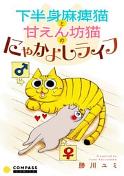 下半身麻痺猫と甘えん坊猫のにゃかよしライフ