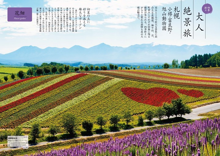 大人絶景旅　札幌 小樽 富良野 旭山動物園　花畑 Flower garden