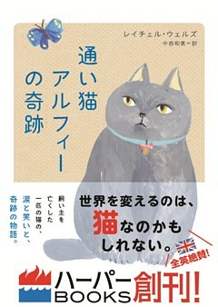 通い猫アルフィーの奇跡