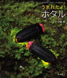 うまれたよ！　ホタル