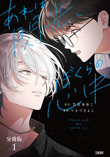 【分冊版】あれは閃光、ぼくらの心中