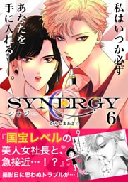 シナジー 6