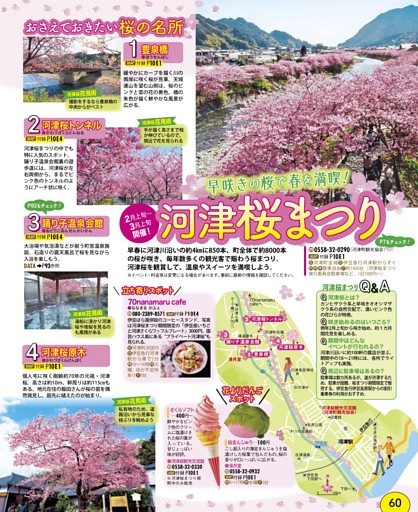 伊豆／東伊豆／河津桜まつり