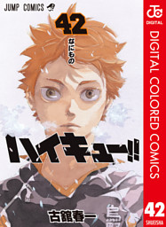 ハイキュー 45巻 ネタバレ ハイキュー!! 45 (最新刊)(古舘春一