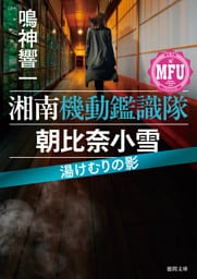 湘南機動鑑識隊　朝比奈小雪　湯けむりの影