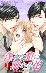 淫らな龍に溺れる花～ヤクザとエリートに奪われて～3