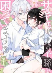 サキュバスの子孫は困ってます。（３）