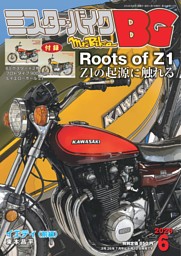 AUTO STYLE VOL.53 スイフトスポーツ&スイフト*01 | dマガジンなら人気
