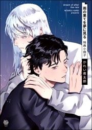 雨の果てを夢に見る特典小冊子