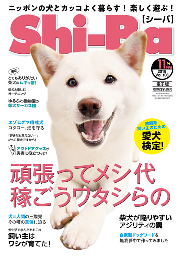 Shi Ba 電子書籍 コミック 小説 実用書 なら ドコモのdブック