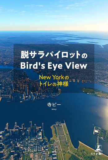 脱サラパイロットのBird’s Eye View　～New Yorkのトイレの神様～