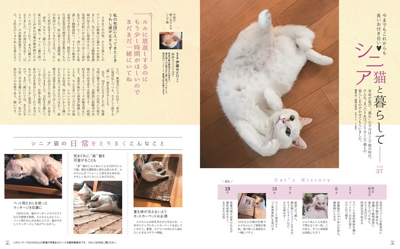 シニア猫と暮らして