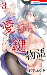 愛×鍵物語【おまけ描き下ろし付き】　3巻