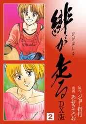 緋が走る　ＤＸ版　2