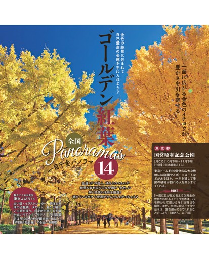 全国 ゴールデン紅葉 一目千金パノラマ14