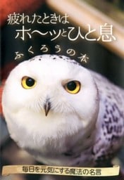 疲れたときはホ～ッとひと息 ふくろうの本