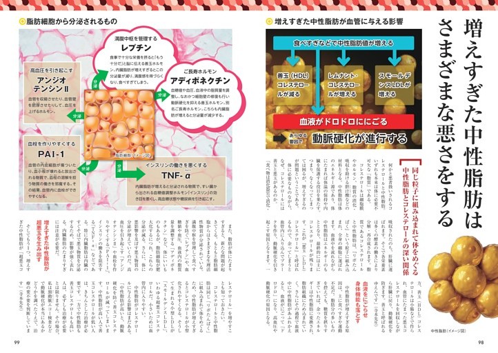 増えすぎた中性脂肪はさまざまな悪さをする