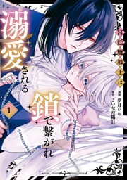 宮廷魔導士は鎖で繋がれ溺愛される1