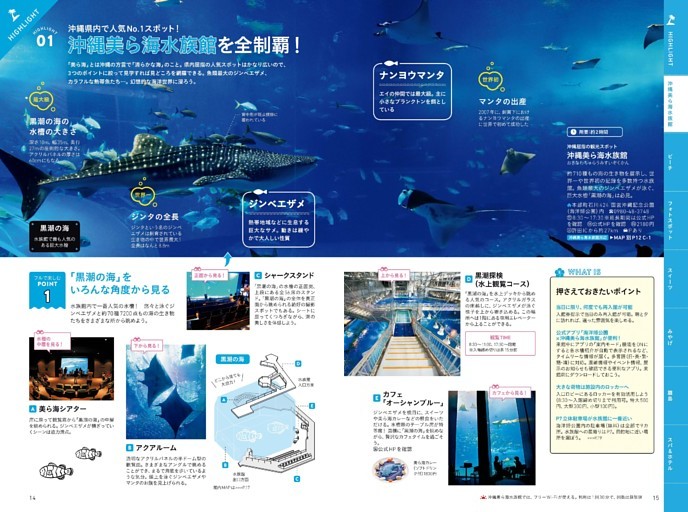 HIGHLIGHT　　01　沖縄美ら海水族館を全制覇！