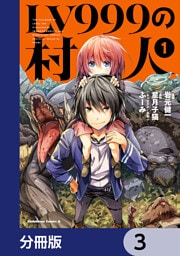 LV999の村人【分冊版】　3