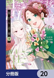 後宮の毒華【分冊版】　20