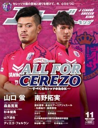 Jリーグサッカーキング2014年11月号