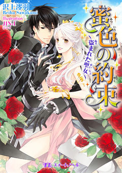 蜜色の約束　～盗まれた聖女～