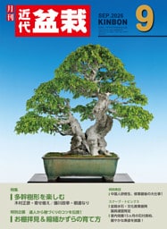 近代盆栽2026年9月号