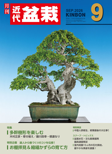 近代盆栽