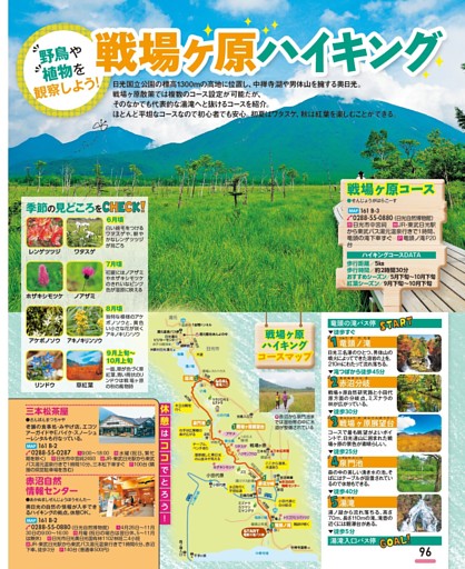 戦場ヶ原ハイキング
