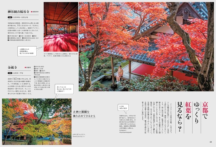 京都でゆっくり紅葉を見るなら？