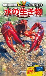 水の生き物
